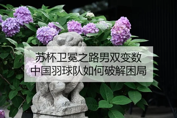 su-bei-wei-mian-zhi-lu-nan-shuang-bian-shu-zhong-guo-yu-qiu-dui-ru-he-po-jie-kun-ju-2-681.jpg